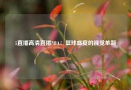 5直播高清直播NBA：篮球盛宴的视觉革新