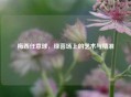 梅西任意球，绿茵场上的艺术与精准