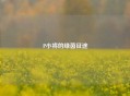 P小将的绿茵征途
