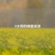 P小将的绿茵征途