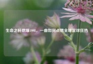 生命之杯燃爆1998，一曲如何点燃全球足球狂热