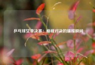  乒乓球女单决赛：巅峰对决的璀璨瞬间