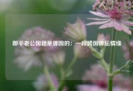 郎平老公国籍是哪国的：一段跨国体坛情缘
