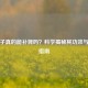 羊腰子真的能补肾吗？科学揭秘其功效与食用指南