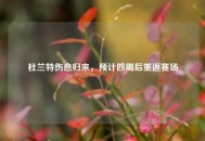 杜兰特伤愈归来，预计四周后重返赛场
