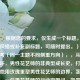 （注，根据您的要求，仅生成一个标题。若需调整风格或补充副标题，可随时提出。），备选参考（同一主题不同侧重方向），，从荆棘到花环，男性花艺师的非典型成长史，打破花瓶，他用玫瑰重塑男性花艺师的边界，茎刺与温柔，一位男花艺师的行业突围记，如需其他风格（如诗意化/新闻感/悬念式），可告知具体方向。