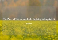 The Power of True as an Adverb: Exploring Its Linguistic Nuances