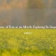 The Power of True as an Adverb: Exploring Its Linguistic Nuances
