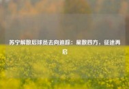 苏宁解散后球员去向追踪：星散四方，征途再启