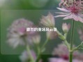 激烈的赛场风云录