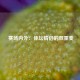  赛场内外：体坛情侣的双重奏
