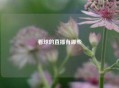 看球的直播有哪些