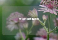 看球的直播有哪些