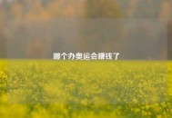 哪个办奥运会赚钱了