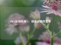 FIFA足球经理12：绿茵战略的艺术