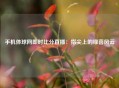 手机体球网即时比分直播：指尖上的绿茵风云