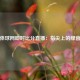 手机体球网即时比分直播：指尖上的绿茵风云