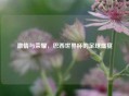 激情与荣耀，巴西世界杯的足球盛宴