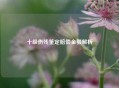 十级伤残鉴定赔偿金额解析