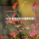 NBA比赛精彩对决观赛指南