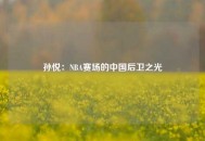 孙悦：NBA赛场的中国后卫之光