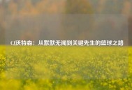  CJ沃特森：从默默无闻到关键先生的篮球之路