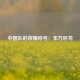 中国队的荣耀称号：东方巨龙