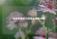 中超联赛积分榜排名规则详解