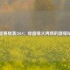 英超赛程表2019：绿茵烽火再燃的激情纪事