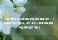 应用程序无法启动的常见原因及解决方法，（直接针对问题核心，突出原因+解决的实用性，符合用户搜索习惯）