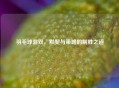 羽毛球混双，默契与策略的制胜之道