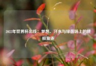 2022年世界杯出线：梦想、汗水与绿茵场上的终极角逐