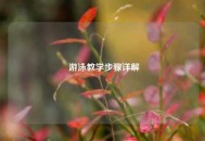  游泳教学步骤详解