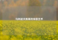 马利诺夫斯基的绿茵艺术