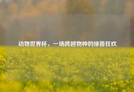 动物世界杯，一场跨越物种的绿茵狂欢