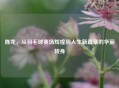 陈龙，从羽毛球赛场辉煌到人生新篇章的华丽转身