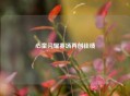 心童闪耀赛场再创佳绩