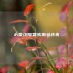心童闪耀赛场再创佳绩