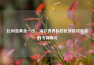比利亚黄金一击，南非世界杯西班牙首球背后的传奇瞬间