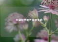 欠薪球员的外卖求生路