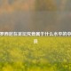 安布罗西尼在足坛究竟属于什么水平的中场球员