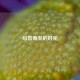 纷沓而至的时光