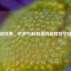 欧冠经典，巴萨与利物浦的足球哲学碰撞