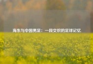 海东与中国男足：一段交织的足球记忆