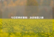 今日世界杯赛程：决战绿茵之巅