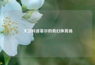 大卫科波菲尔的奇幻体育场