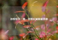 孙悦惊天一帽，中国长城阻霍华德