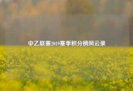 中乙联赛2019赛季积分榜风云录