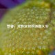 景睿，光影交织的诗意人生