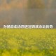 孙杨自由泳四连冠铸就泳坛传奇